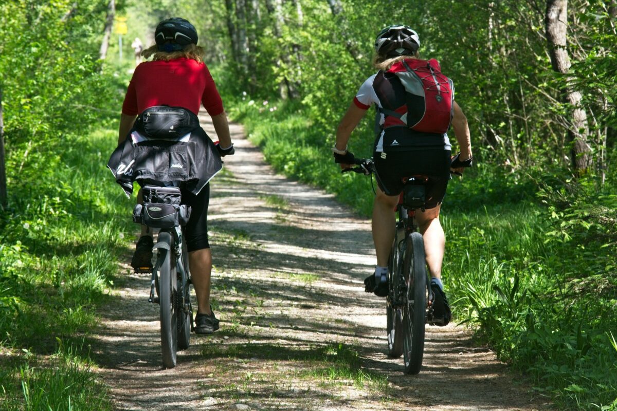 kaksi pyöräilijää kesäisellä metsätiellä