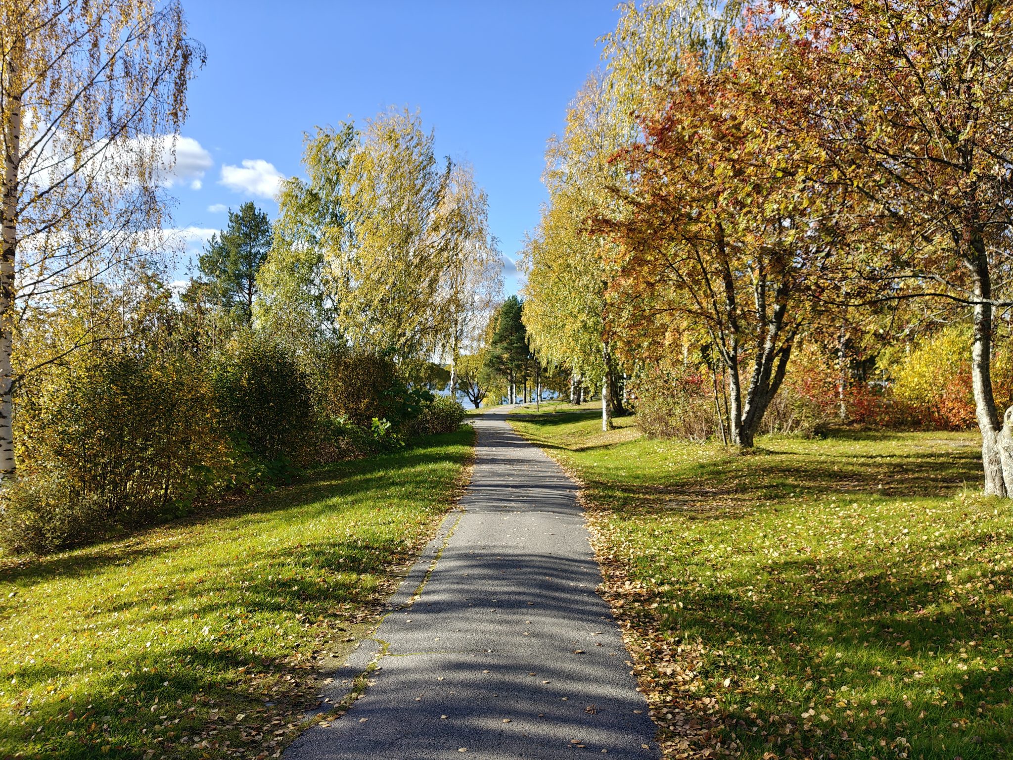 Aurinkoinen syyspäivä, puita, nurmikkoa, hiekkatie.