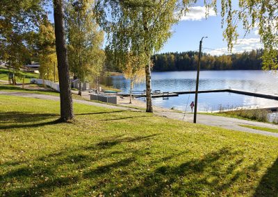 Taustalla järvi, edessä ruohikkoa, rannassa puita.